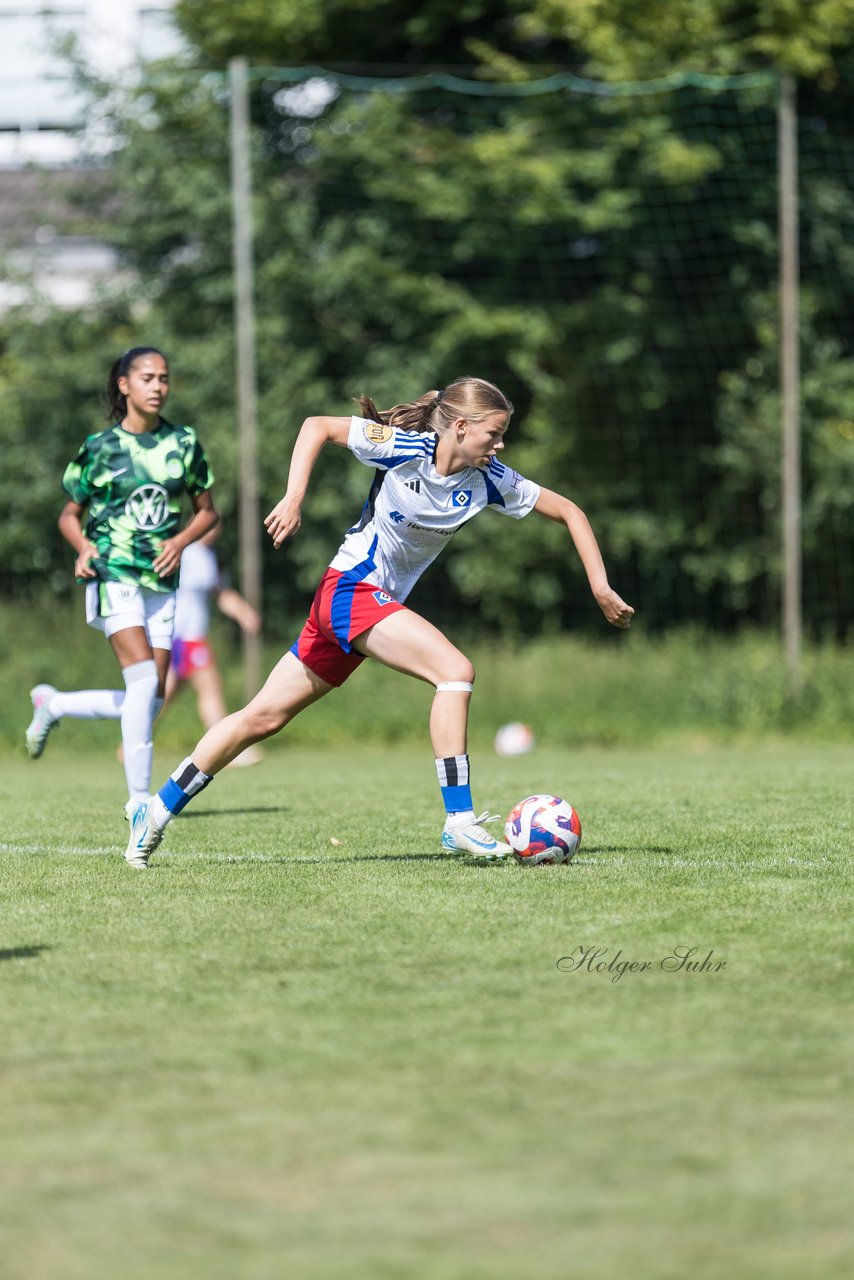 Bild 323 - wBJ Hamburger SV - VfL Wolfsburg : Ergebnis: 5:1